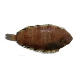 Azevia-Raiada — peixe fresco da lota de Quarteira